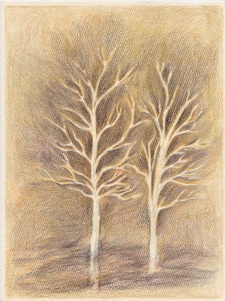 Natural Fire Break